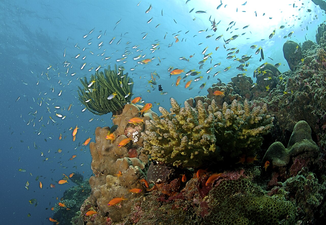 Andaman & Nicobar (UT)
